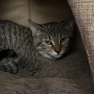 Meet your Posher, Sue